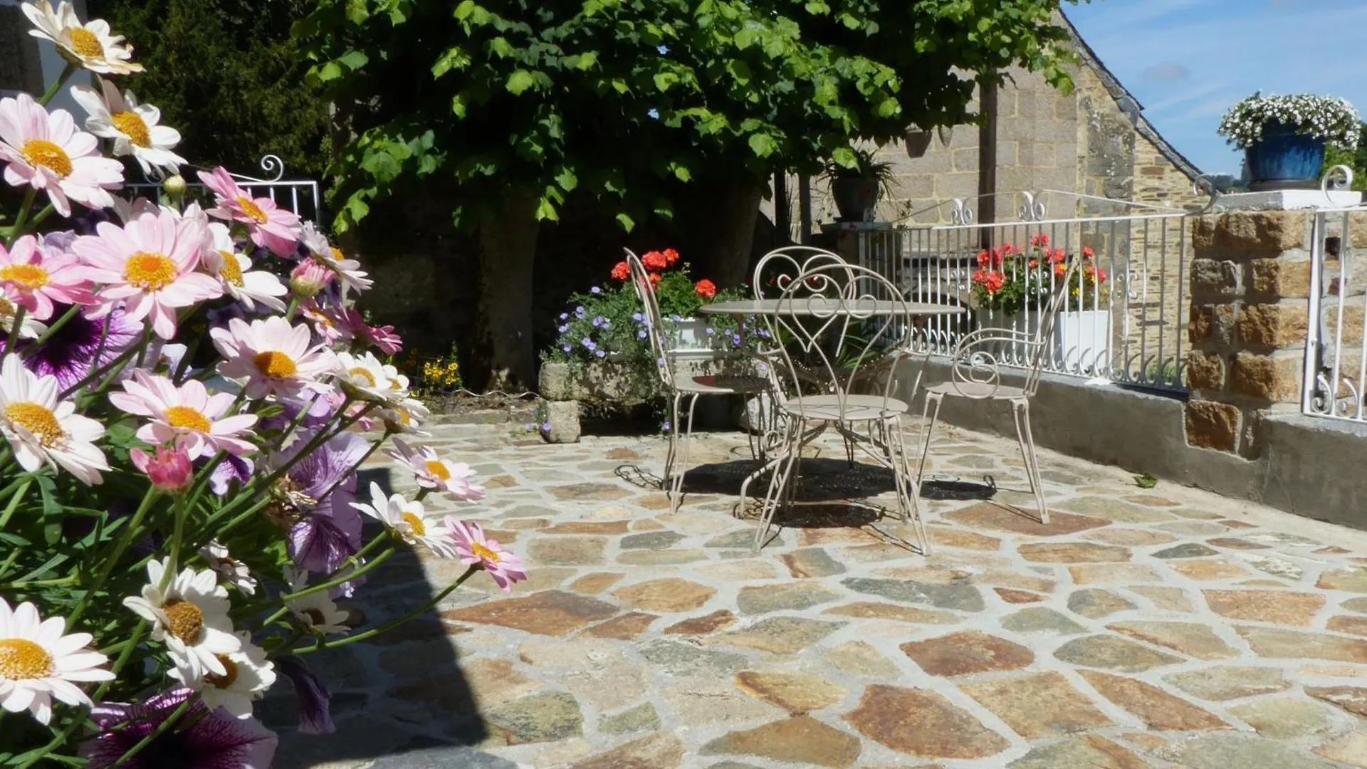 Bed & Breakfast Demeure Des Tilleuls Locquenole